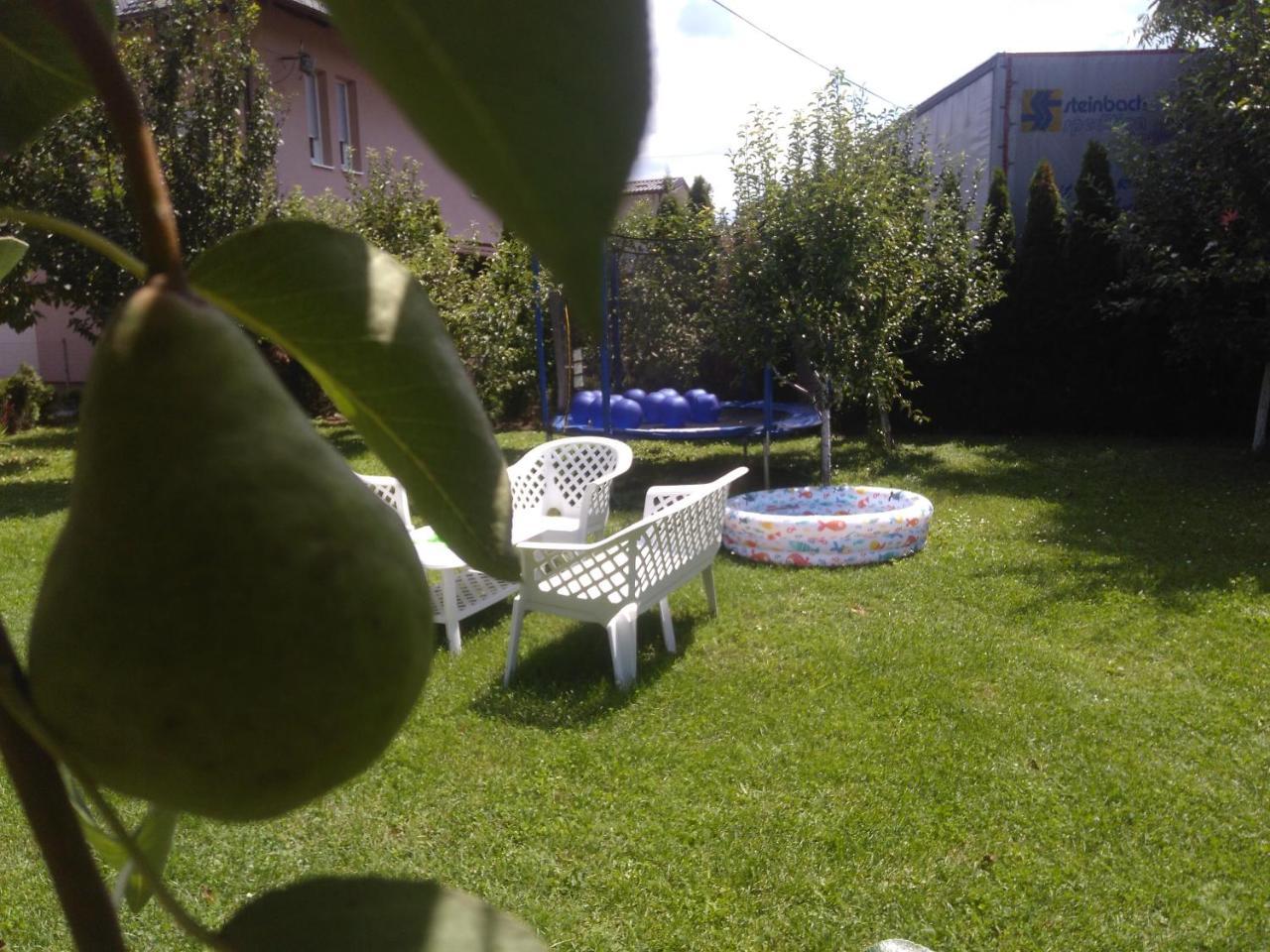 Elite Apartment Jasmina Bihac Exterior photo